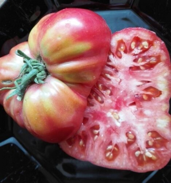 Tomate 'japanische Trüffeltomate, rot', 20 Samen